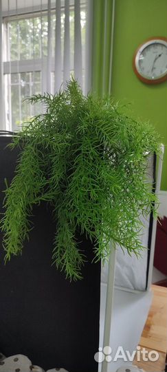 Искусственные цветы