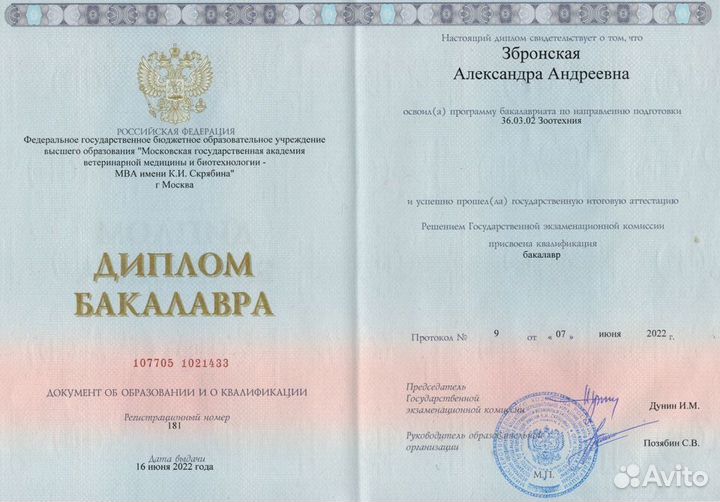 Ветеринарный врач