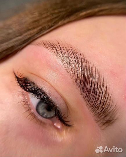 Мастер бровист