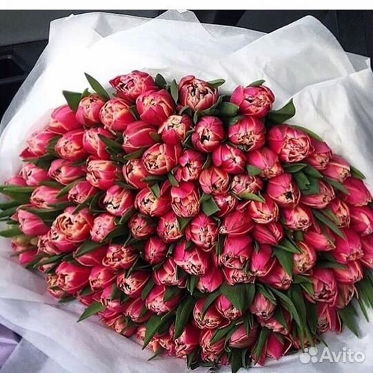 Букет тюльпанов быстрая доставка