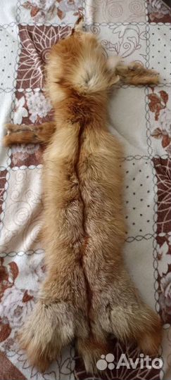 Шкурка животного