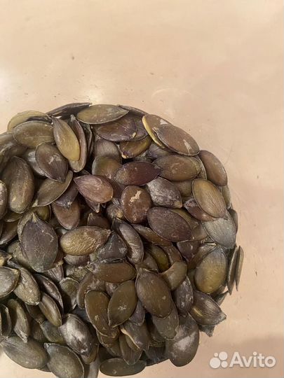 Семена тыквы штирийской