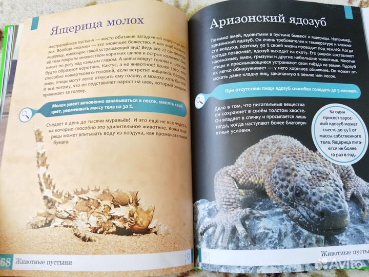 Книга умная энциклопедия