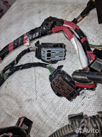 Жгут проводов зажигания Renault Sandero Stepway 2