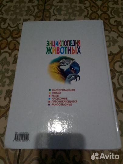 Книга энциклопедия животных