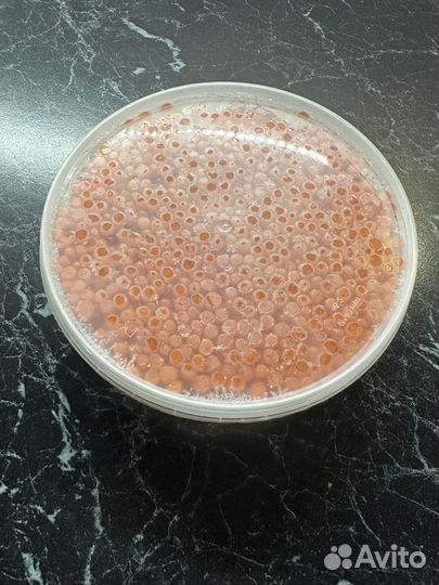 Красная икра кета 2023