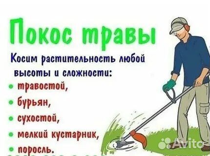 Покос травы триммером. Скосить траву, скос травы