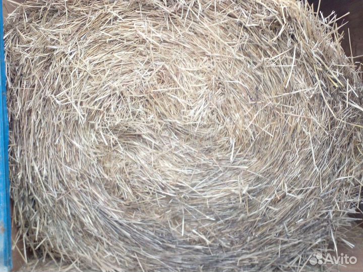 Сено солома в рулонах