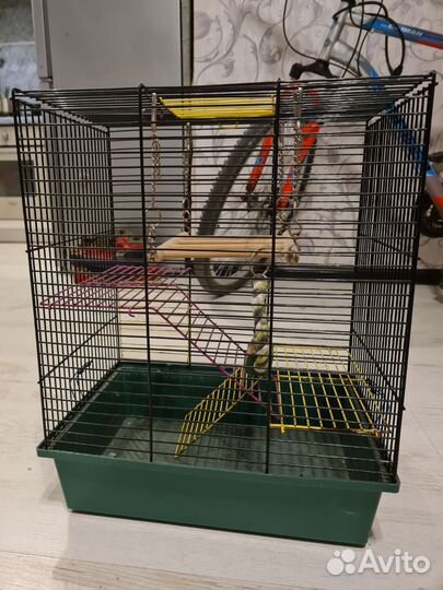 Клетки для грызунов