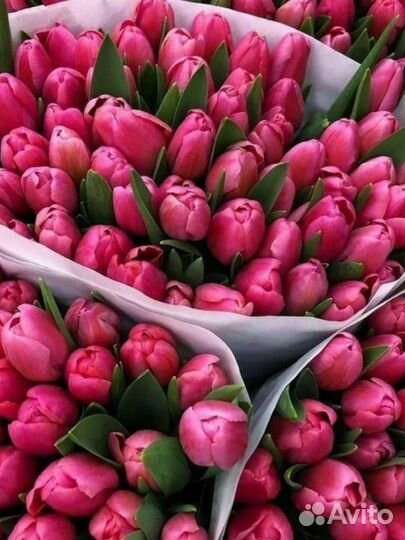 Тюльпаны к 8 марта оптом