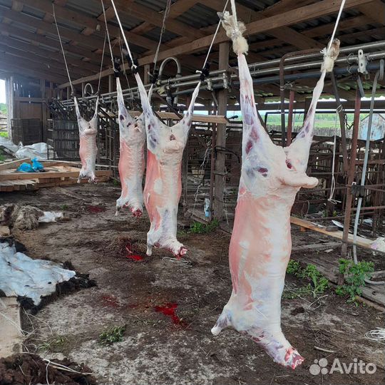 Фермерское мясо / продукты