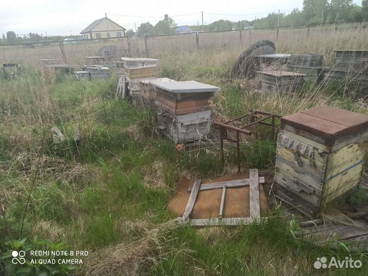 Улей для пчел с рамками и экранами