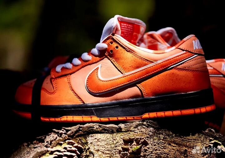 Concepts X Dunk Low SB Orange Lobster