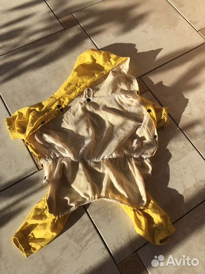 Одежда для собак