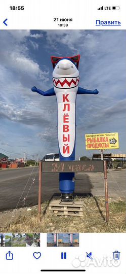 Жмых 24 часа Черви 24 часа