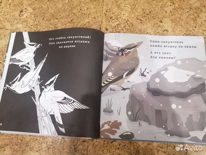 Книга Что скрывает зима