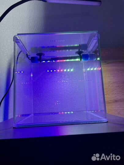 Аквариум 10 литров