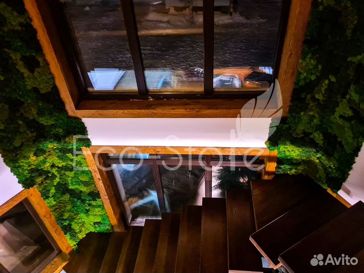 Панели из мха в дом