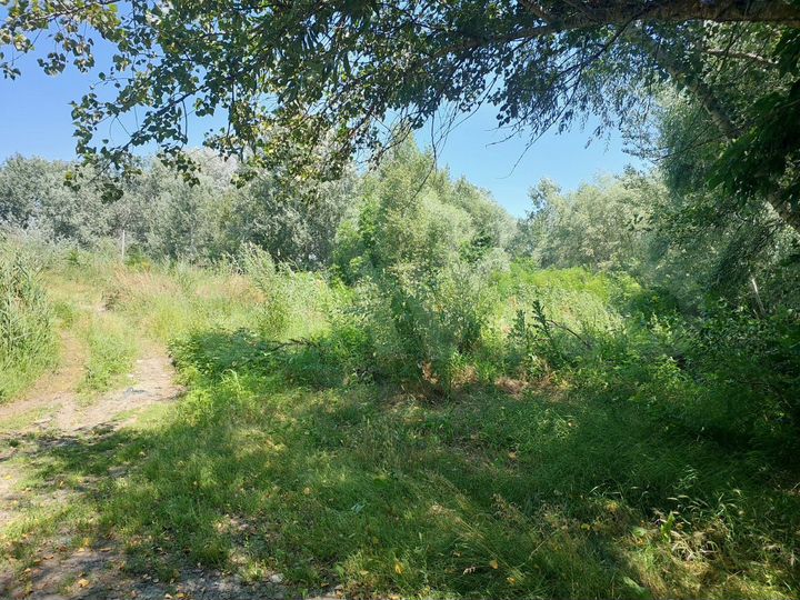 Участок 18 сот. (ИЖС)