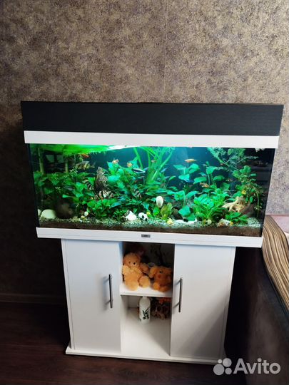 Аквариум с тумбой juwel