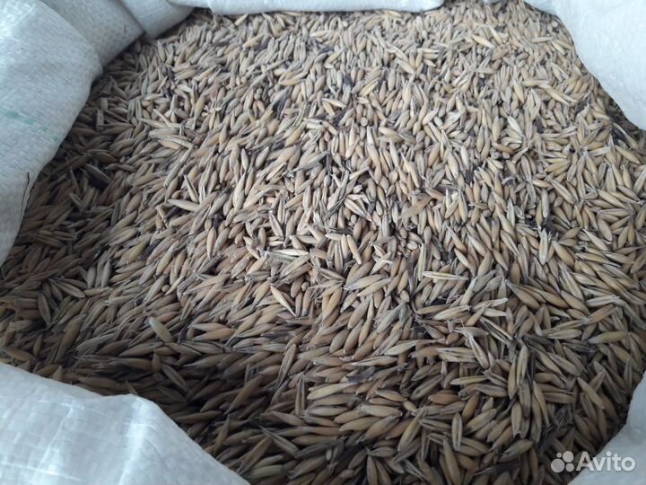 Дробленка, пшеница, овес, ячмень, комбикорм