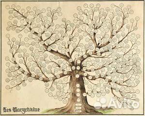 Исследование родословной