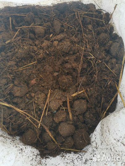 Навоз конский в мешках