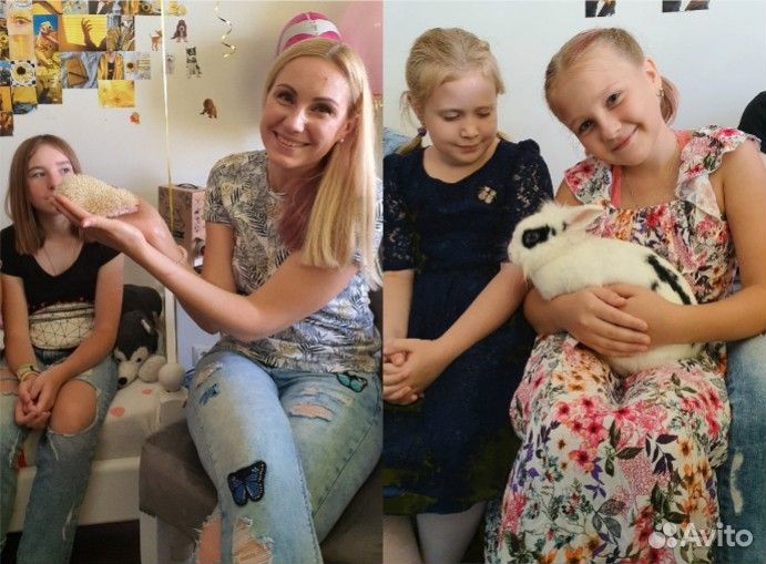 Фокусы с животными, Фокусник с кроликом, Аниматор