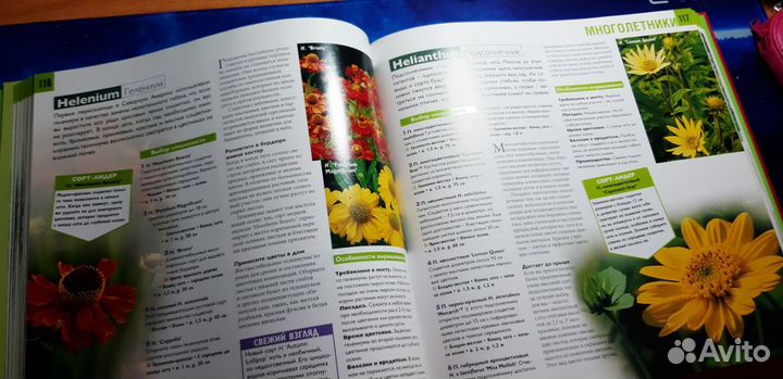 Неприхотливые растения для вашего сада