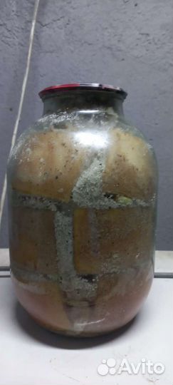 Сало в 3л банках