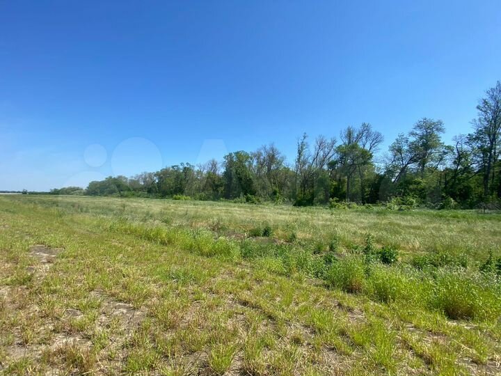 Участок 4,56 га (СНТ, ДНП)