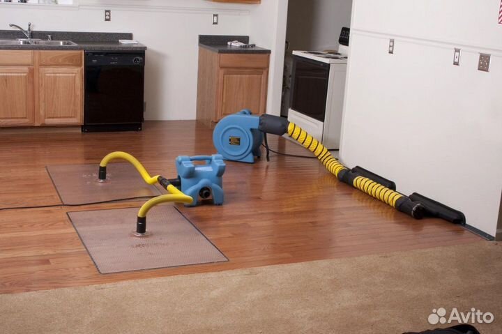 Сушка после затопления, потопа, просушка