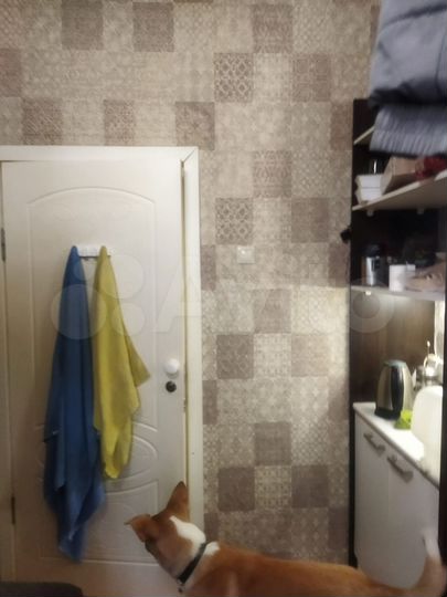 Комната 17,2 м² в 4-к., 7/12 эт.