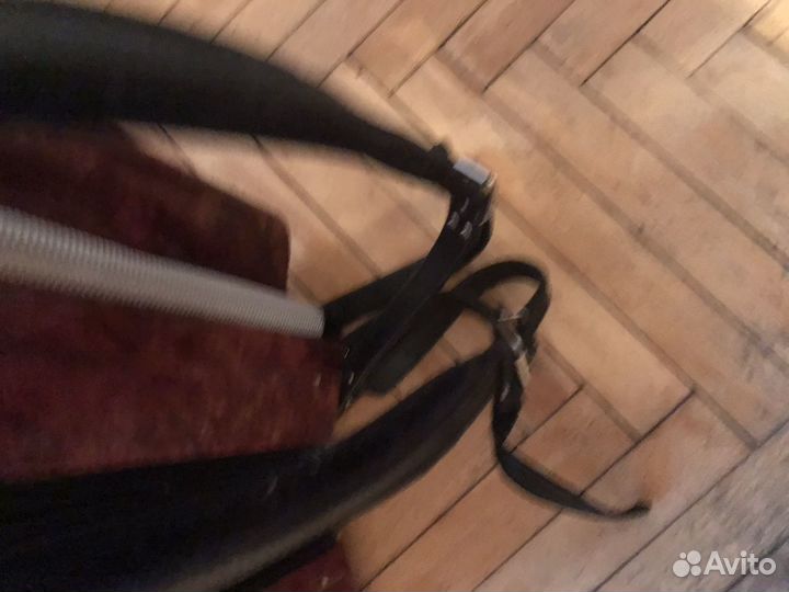 Баян тульский