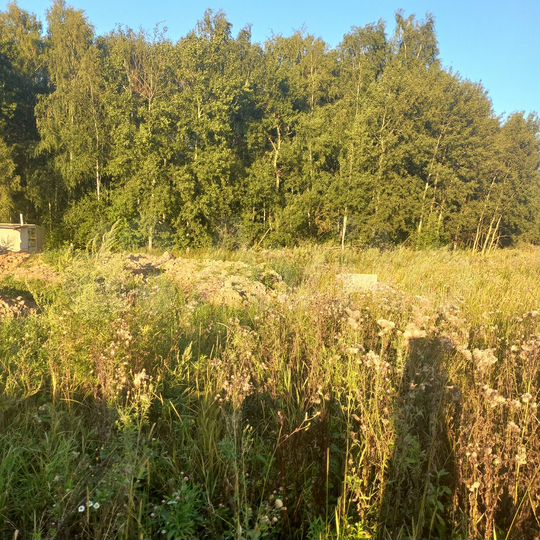 Участок 7,1 сот. (ИЖС)