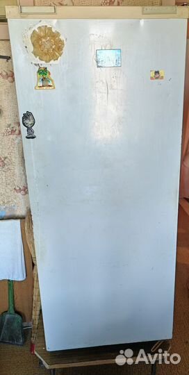 Холодильник чинар 3
