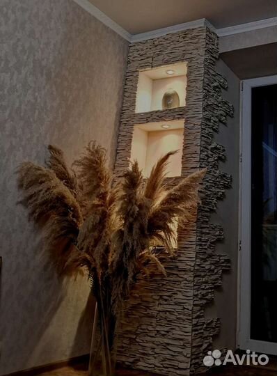 Кортадерия пампасная трава