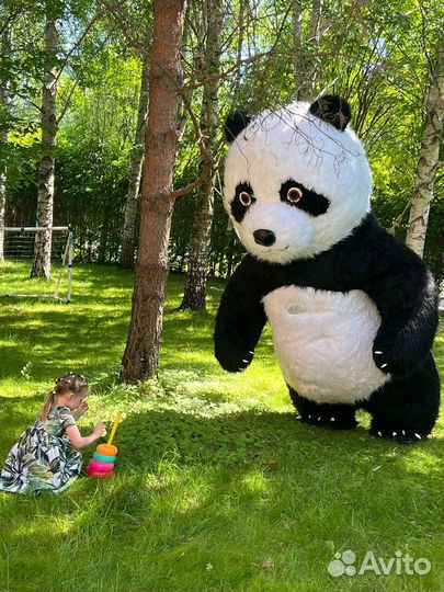 Белый Мишка поздравление