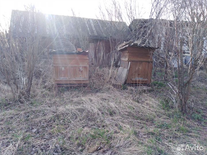 Пчелы и улья