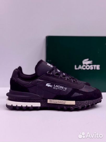 Кроссовки Lacoste premium