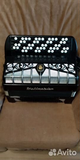 Баян weltmeister grandina