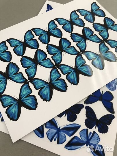 Бабочки для букета печать цветная