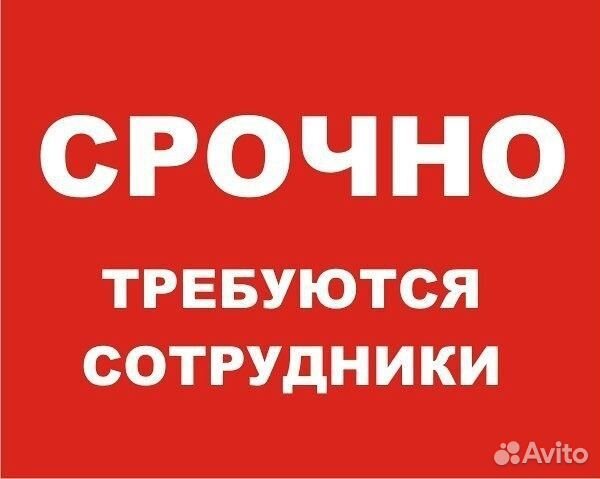 Разнорабочие грузчики с ежедневной оплатой