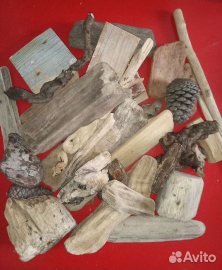 Дрифтвуд Черноморский350р