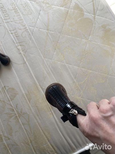 Обувь на собаку