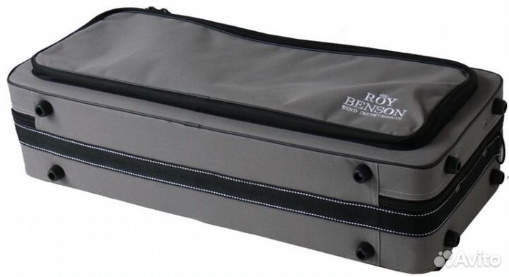 Альт-саксофон Roy Benson AS-202 Eb