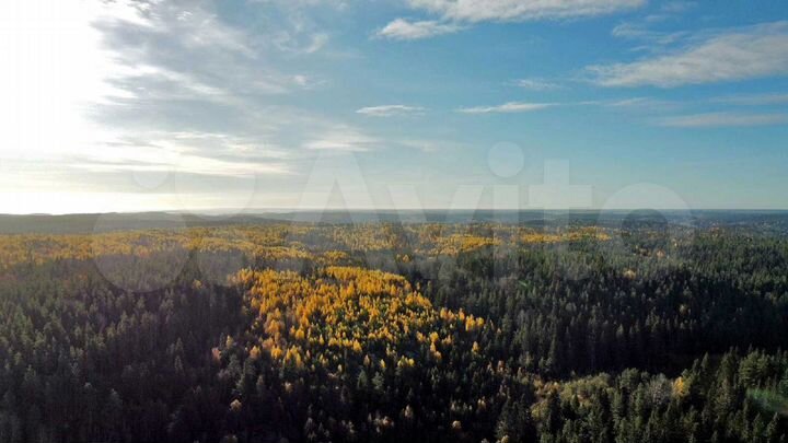 Участок 2,5 га (СНТ, ДНП)