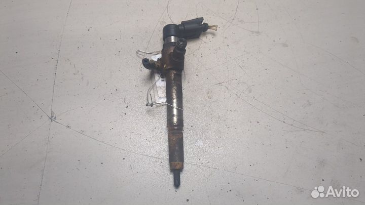 Форсунка топливная Renault Megane 2, 2008