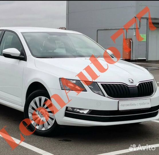 Бампер передний Skoda Octavia A7 2017-2020 (18)