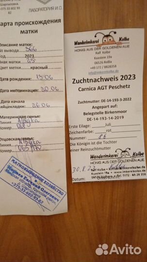 Пчеломатки плодные Карника